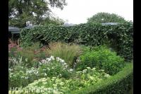 Kleurrijke beplanting