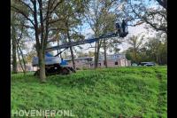 Bomen snoeien met inzet van hoogwerker