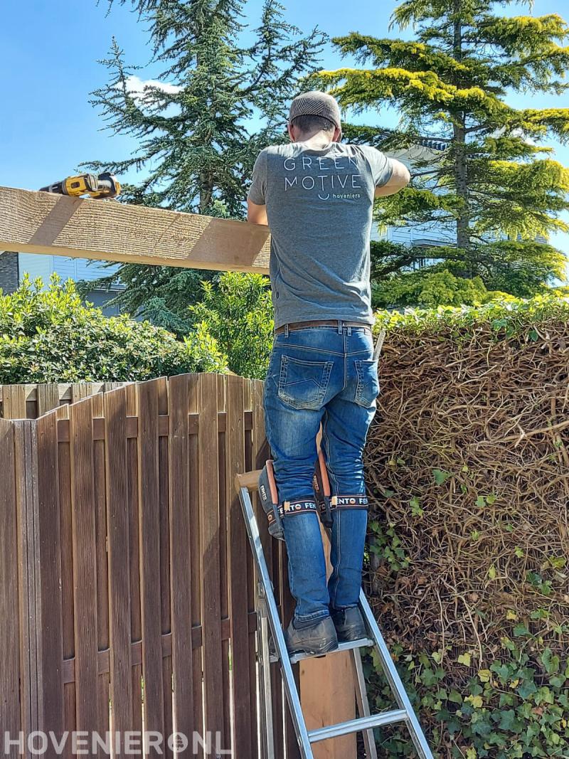 Green Motive Hoveniers