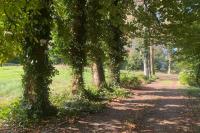 JvR Boom en Groen