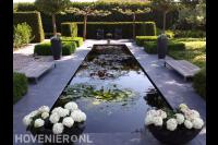 Strakke vijver met waterlelies