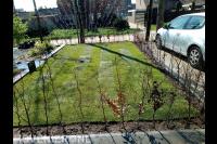 Tuinaanleg met gazon van graszoden en jonge beukenhaag