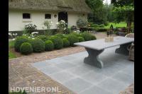 Klassieke tuin met buxusbollen en leibomen bij terras 2