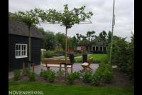Leibomen bij terras met houten bankjes