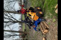 Viridis Mundis boomzorg