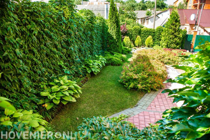 Hoveniersbedrijf Dennis Leussink