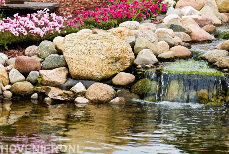 René Schouten Zicht op Groen