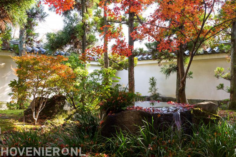 Hoveniersbedrijf Dick Lam