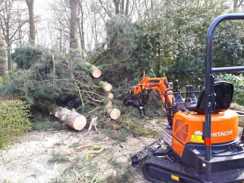 Tuin leeghalen en bomen kappen