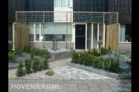 Onderhoudsarme voortuin met veel bestrating en grind en leibomen 1