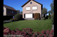 Groot gazon van kunstgras in voortuin