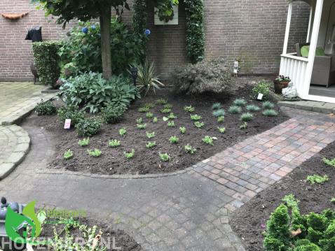 Borders met nieuwe beplanting