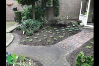 Borders met nieuwe beplanting