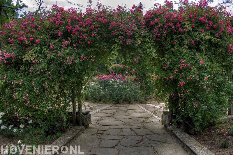 Hoveniersbedrijf Jeroen van de Ree