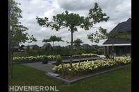 Plantenbakken omgeven door kiezels en grasmatten