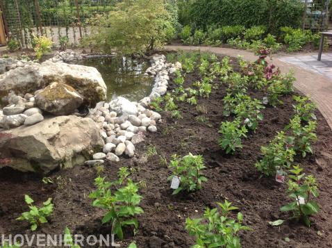 Tuin met vijver, beplanting en bestrating van natuurlijke stenen 3