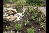 Tuin met vijver, beplanting en bestrating van natuurlijke stenen 3