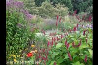 Beplantingsbureau.nl