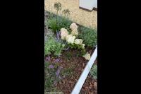 Hoveniersbedrijf M. Maarsen