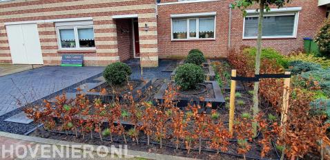 Onderhoudsvriendelijke voortuin met plantenbakken en beukenhaag