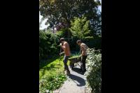 Tuinonderhoud 1