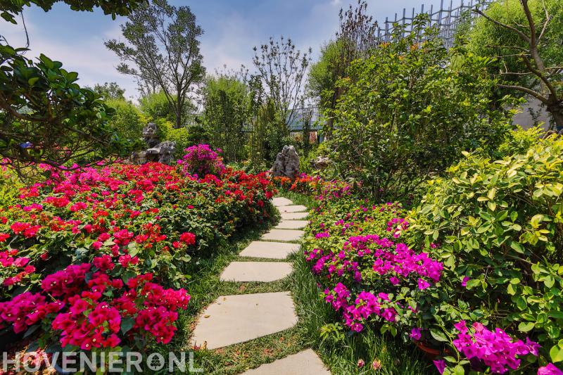 Hoveniersbedrijf Odink