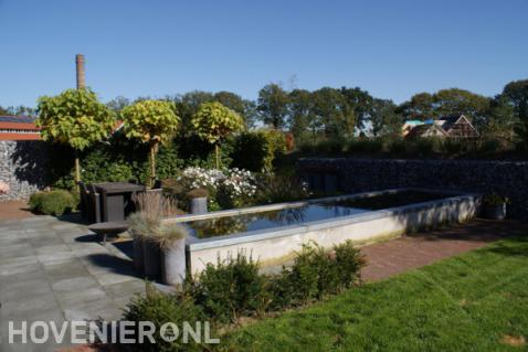 Moderne tuin met vijver, schanskorven en bolcatalpa's