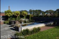 Moderne tuin met vijver, schanskorven en bolcatalpa's