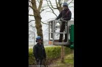 Konijnenberg Bos en Groen
