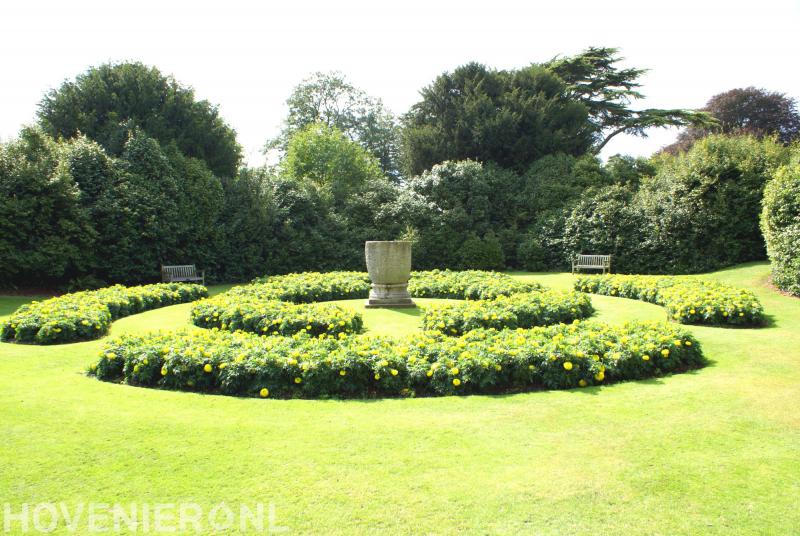 Droomtuinen Hoveniers
