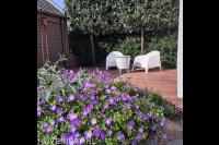 Vlonder met zithoek en bloementuin