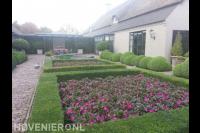 Borders met bloeiende planten omringd door buxus