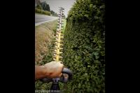 Werkzaamheden aan de heg