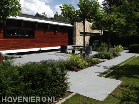 Strakke tuin met dakplatanen en terras met stenen tafel en bankjes