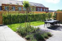 Aanleg moderne achtertuin met terras, gazon en hedera schutting