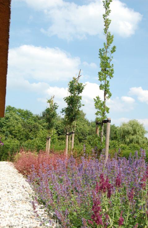 Kleurrijke beplanting van border