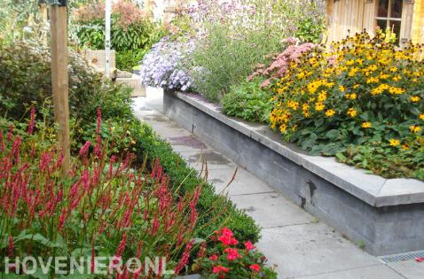 Kleurrijk bloeiende planten