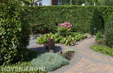 Voortuin met apenboom en waterornament 2