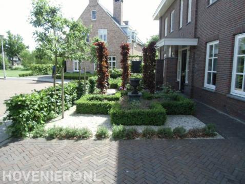 Voortuin met haag, leibomen, buxus en grind