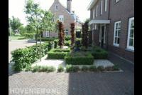 Voortuin met haag, leibomen, buxus en grind