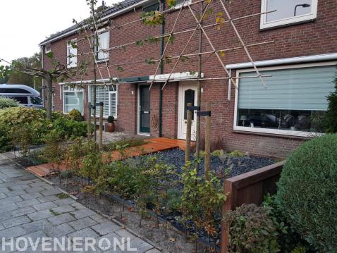 Voortuin met leibomen, jonge haag, split en entree van vlonderplanken