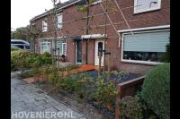 Voortuin met leibomen, jonge haag, split en entree van vlonderplanken
