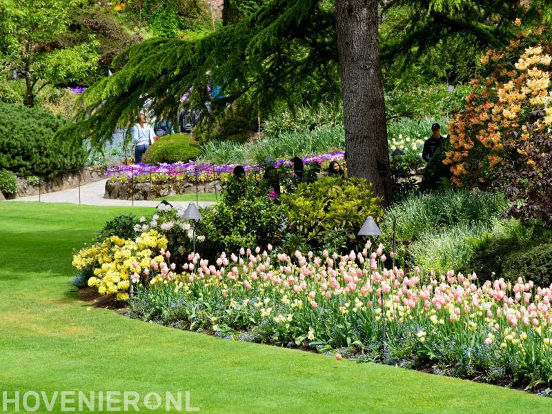 Green-Top Boom & Tuin