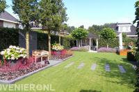 Groene tuin met gazon, kleurrijke planten en bolcatalpa's bij prieel