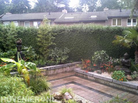 Moderne Djaga tuin 2