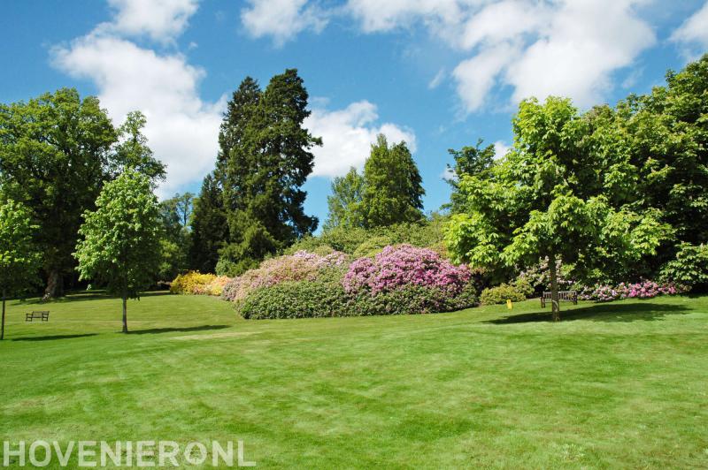 Takkenwerk Boomverzorging