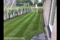 Nieuw gazon van graszoden