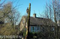 Maton Boomverzorging