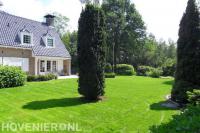 Ruime villatuin met groot gazon en veel groen 1