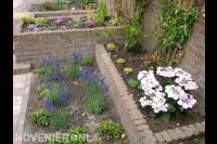 Borders van gemetselde stenen met kleurrijke planten
